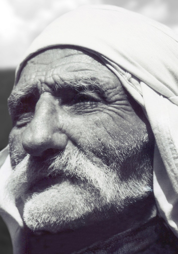 Seyran Baroyan Photography